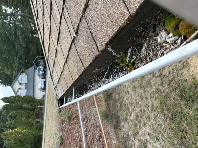 Dirty, mossy gutters.